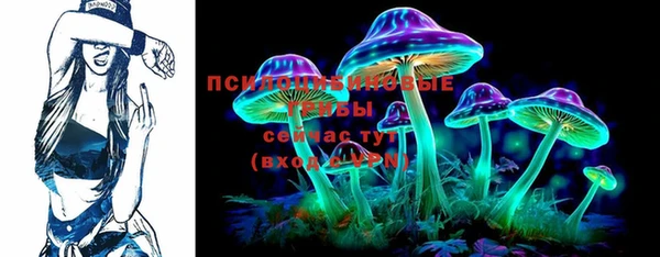 герыч Арсеньев